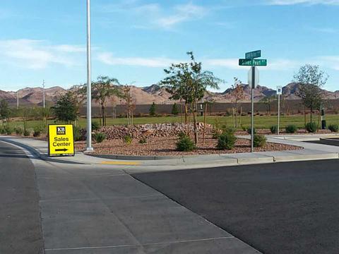 976 Harbor Ave, Henderson, NV 89002 photo 19