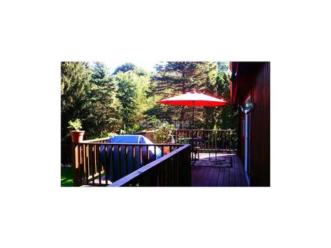 23 E Newman, Williamston, MI 48895 photo 8