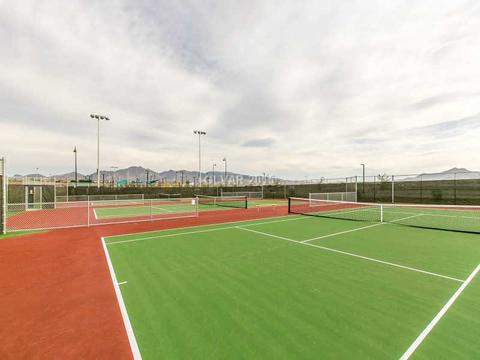 3128 Ecking Ave, Henderson, NV 89044 photo 33