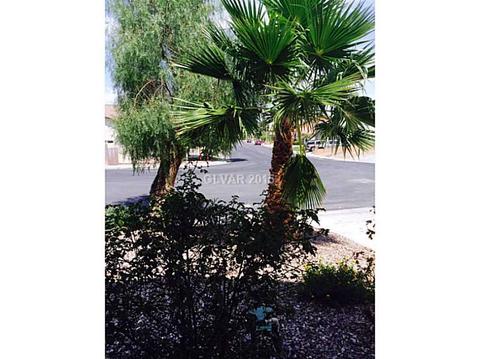 1675 Keepsake Ave, Henderson, NV 89014 photo 2