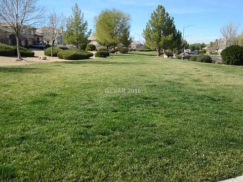 1616 Coyote Run Dr, Henderson, NV 89014 photo 21