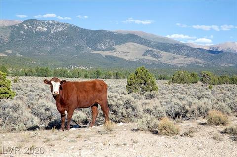 5205 E Bird Creek Rd, Ely, NV 89301 photo 14