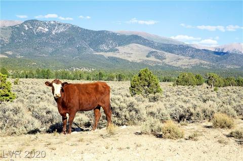 Duck Creek Development Road, Ely, NV 89301 photo 10