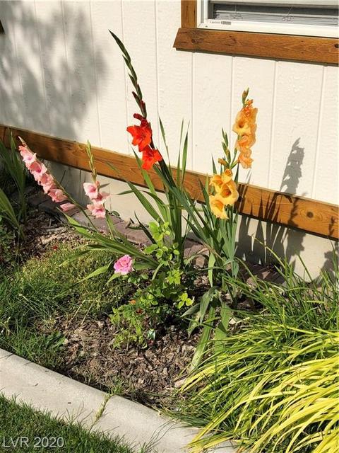 1110 E 15th St, Ely, NV 89301 photo 3