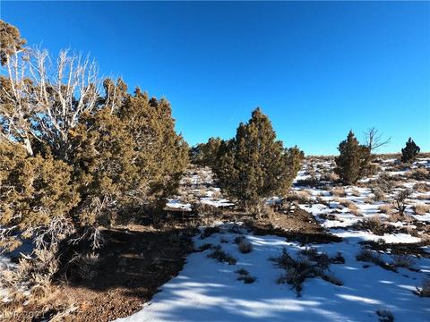 600 E 308th South St, Ely, NV 89301 photo 10