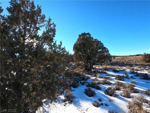 600 E 308th South St, Ely, NV 89301 photo 16
