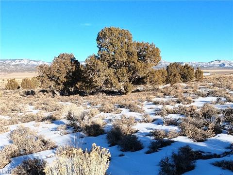 600 E 308th South St, Ely, NV 89301 photo 17