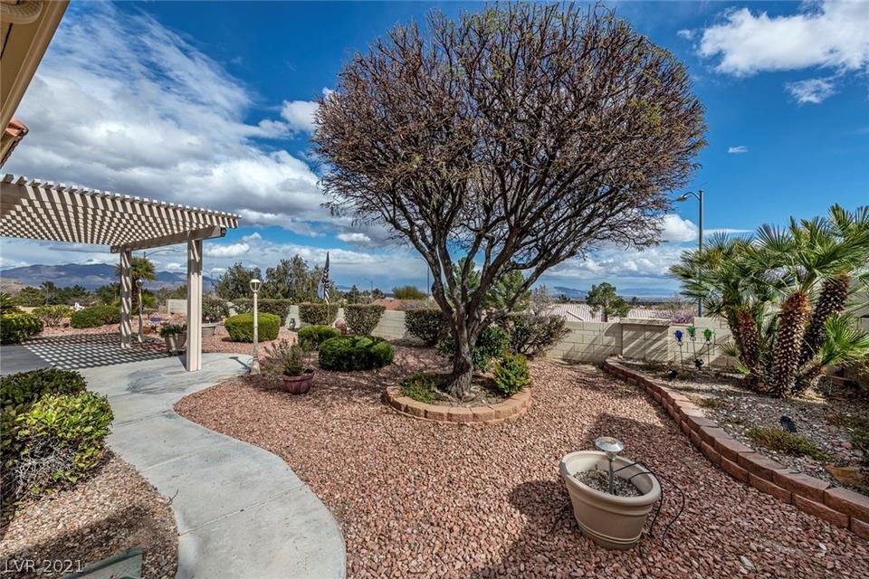  2412 Deer Lake St, Las Vegas, NV 89134 photo 21