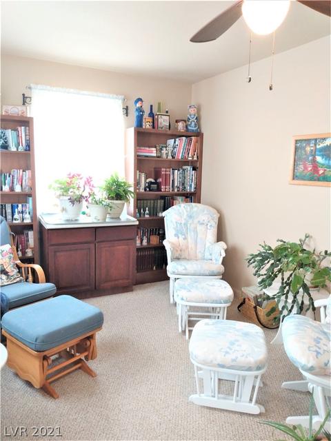 455 Fourth St, Pioche, NV 89043 photo 26