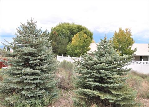 455 Fourth St, Pioche, NV 89043 photo 49