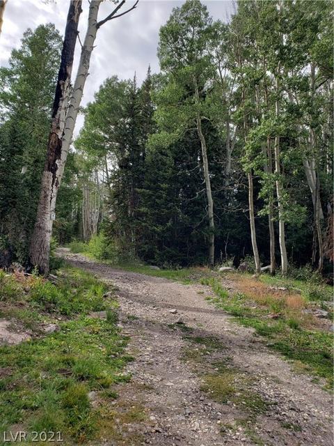 412 N Arrowleaf, Brian Head, UT 84719 photo 6