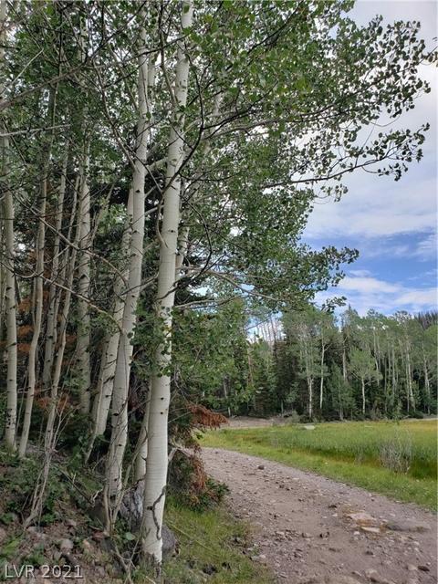 412 N Arrowleaf, Brian Head, UT 84719 photo 23