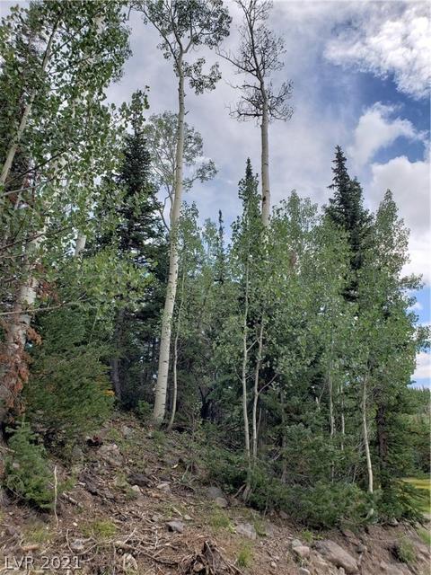 412 N Arrowleaf, Brian Head, UT 84719 photo 9