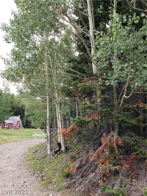412 N Arrowleaf, Brian Head, UT 84719 photo 16