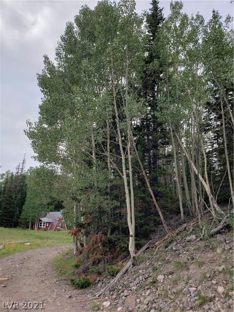 412 N Arrowleaf, Brian Head, UT 84719 photo 18