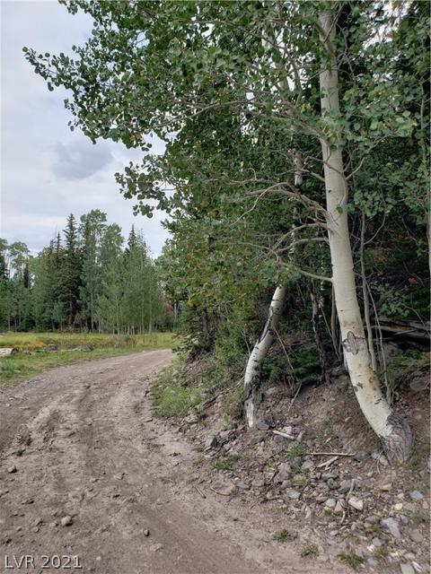 412 N Arrowleaf, Brian Head, UT 84719 photo 13