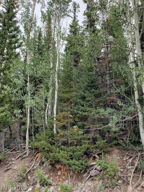 412 N Arrowleaf, Brian Head, UT 84719 photo 11