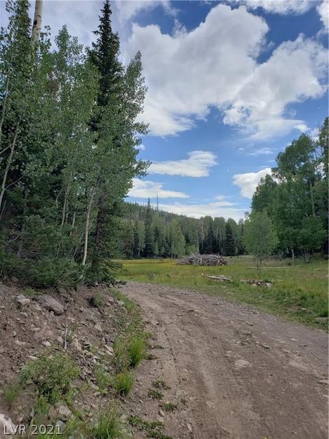 412 N Arrowleaf, Brian Head, UT 84719 photo 10