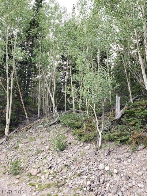 412 N Arrowleaf, Brian Head, UT 84719 photo 17
