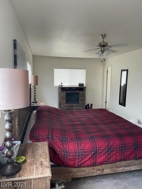 897 E 139th North St, Ely, NV 89301 photo 19