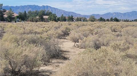 3360 Oakridge Ave, Pahrump, NV 89048
