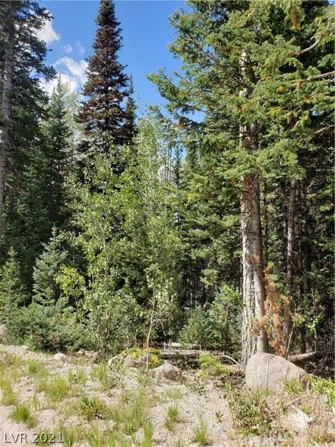365 E Trail Rd, Brian Head, UT 84719 photo 15