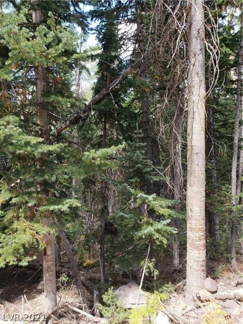 365 E Trail Rd, Brian Head, UT 84719 photo 11