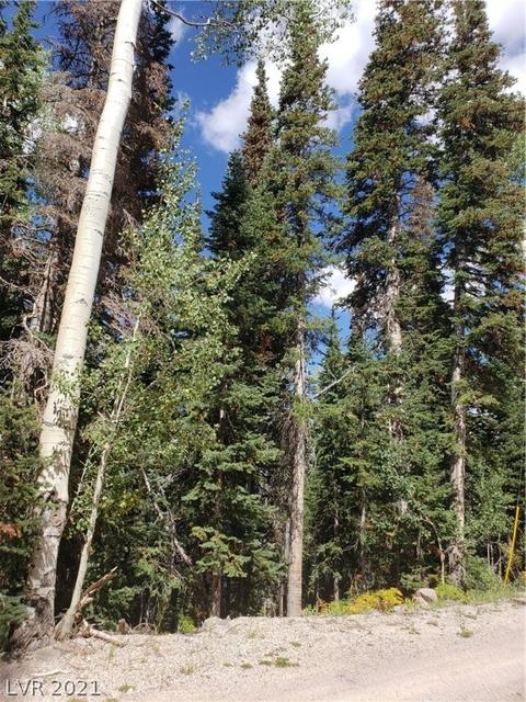 365 E Trail Rd, Brian Head, UT 84719 photo 4