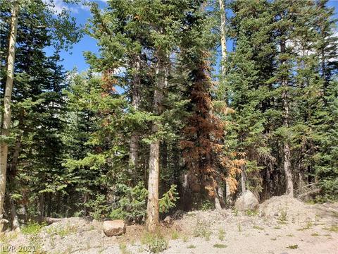 365 E Trail Rd, Brian Head, UT 84719 photo 7
