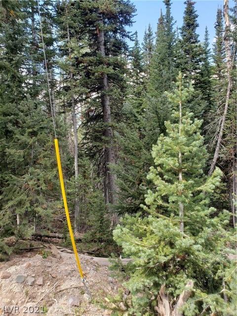 365 E Trail Rd, Brian Head, UT 84719 photo 14