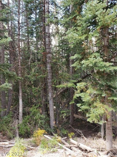 365 E Trail Rd, Brian Head, UT 84719 photo 12