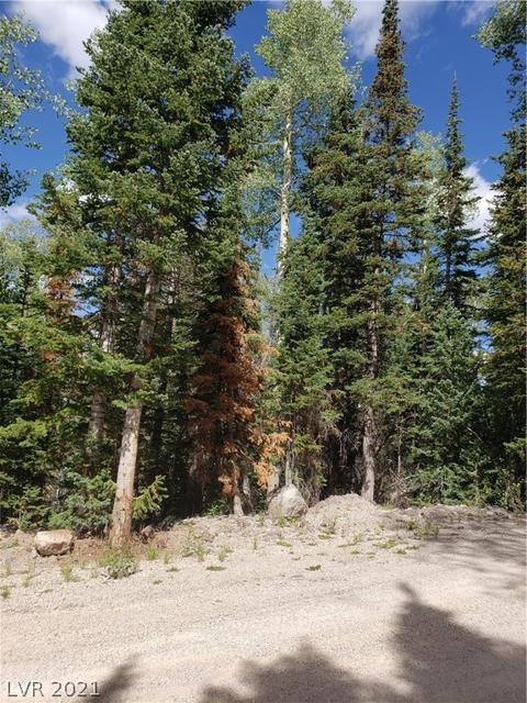 365 E Trail Rd, Brian Head, UT 84719 photo 9