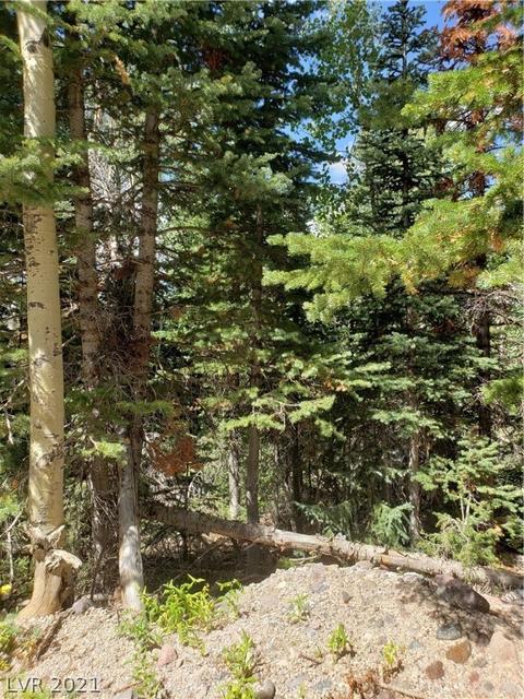 365 E Trail Rd, Brian Head, UT 84719 photo 3