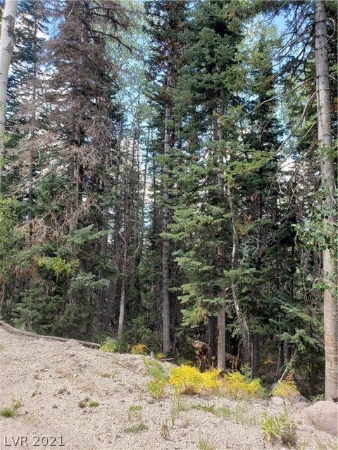 365 E Trail Rd, Brian Head, UT 84719 photo 16