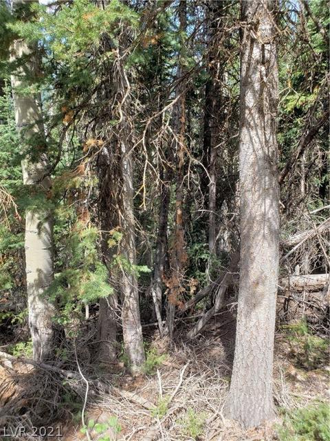 365 E Trail Rd, Brian Head, UT 84719 photo 17