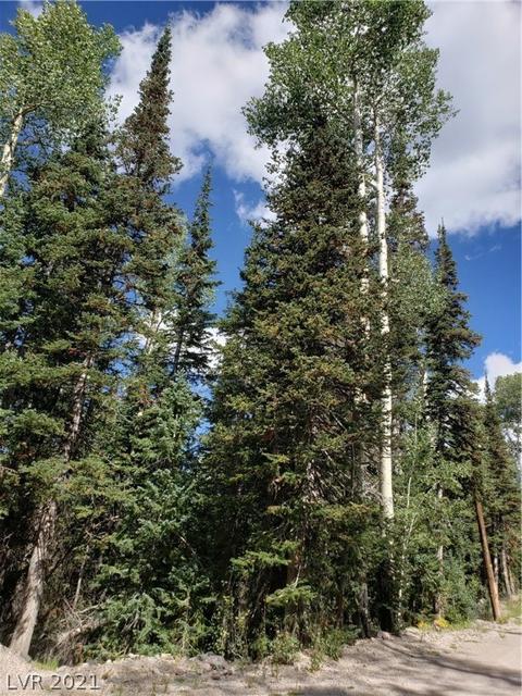 365 E Trail Rd, Brian Head, UT 84719 photo 6