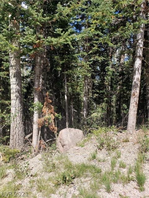 365 E Trail Rd, Brian Head, UT 84719 photo 5