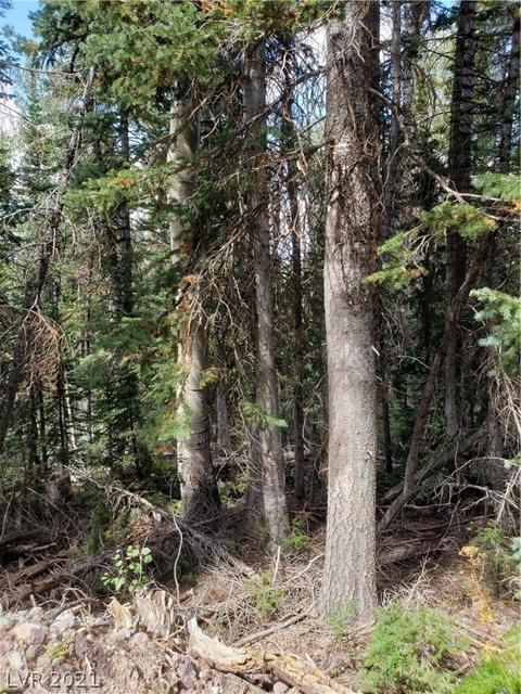 365 E Trail Rd, Brian Head, UT 84719 photo 13