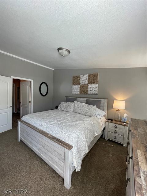 27 Pine St, Ruth, NV 89319 photo 15