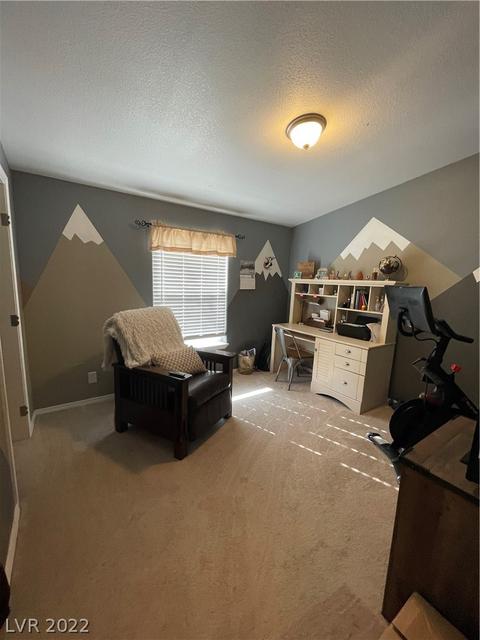 27 Pine St, Ruth, NV 89319 photo 11