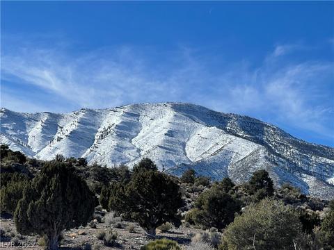 Crockett Access, Cold Creek, NV 89124