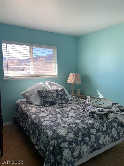145 Jv Walker St, Ely, NV 89301 photo 13