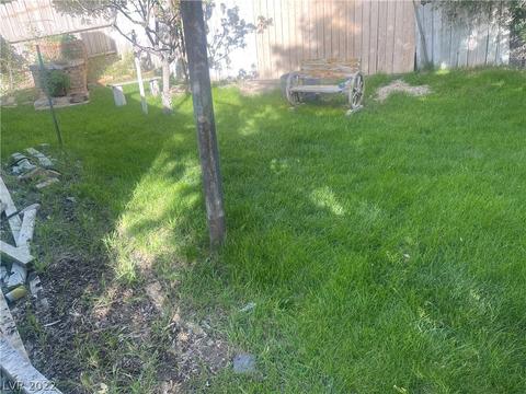 581 Campton St, Ely, NV 89301 photo 25