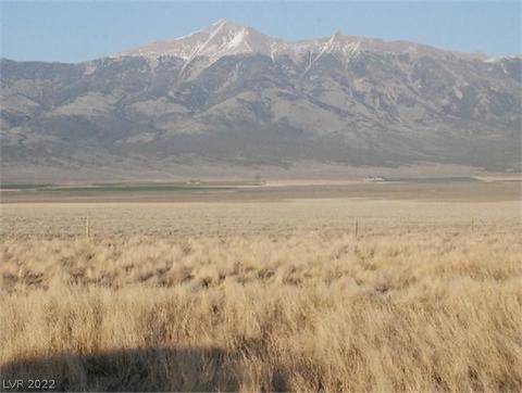 681 Acres In Spring Vly, Other, NV 89301