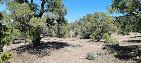 Lomprey Ln, Pioche, NV 89043 photo 9
