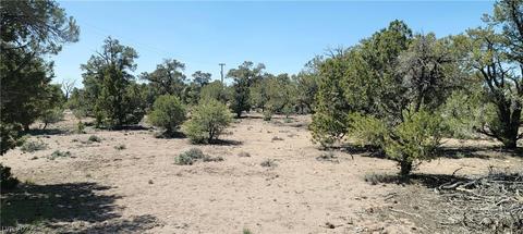 Lomprey Ln, Pioche, NV 89043 photo 13