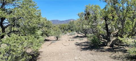 Lomprey Ln, Pioche, NV 89043 photo 11