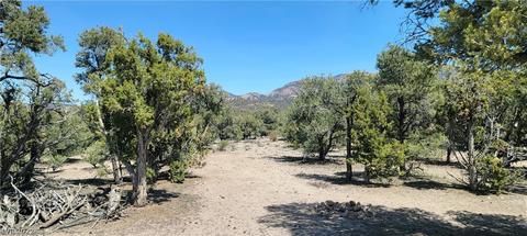 Lomprey Ln, Pioche, NV 89043 photo 5