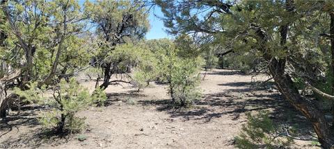 Lomprey Ln, Pioche, NV 89043 photo 10