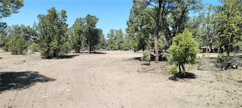 Lomprey Ln, Pioche, NV 89043 photo 3